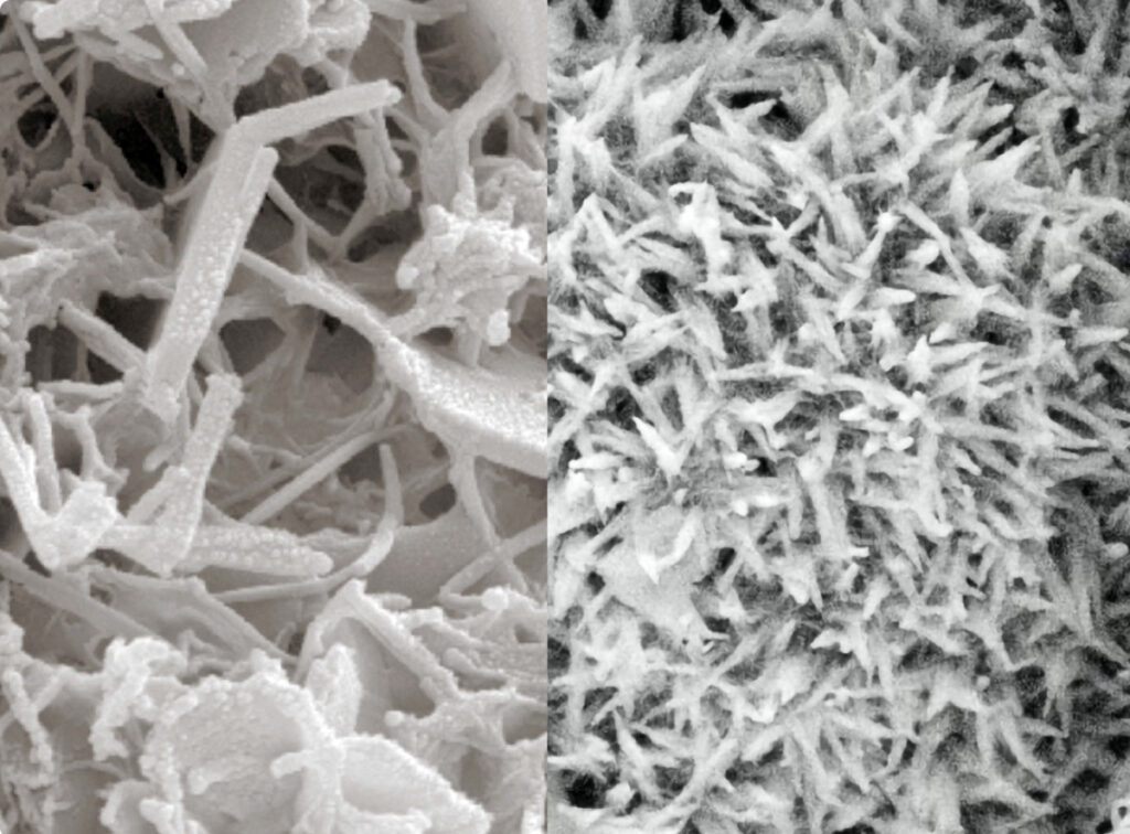 Zwei mikroskopische Nahaufnahmen von unterschiedlichen Texturen.